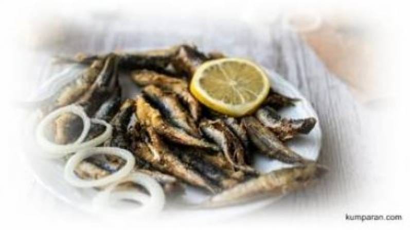 Whether SALTED FISH is Cheap and Healthy Food?